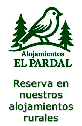 banner-alojamientos-el-pardal-2